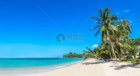 夏日在泰河沿岸的KohSamui岛有棕榈树的热带海滩图片