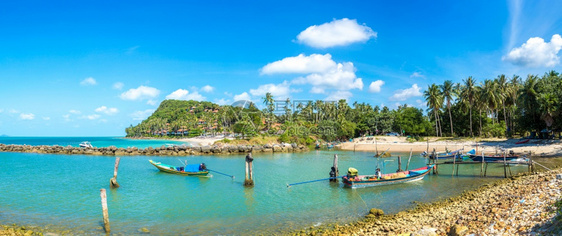 夏日在泰河沿岸的KohSamui岛有棕榈树的热带海滩图片