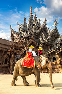 旅游者乘大象绕着真相的圣殿在夏季日间泰国的帕达亚Paty图片