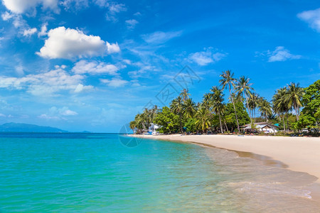 泰国金沙岛夏日在泰河沿岸的KohSamui岛有棕榈树的热带海滩背景