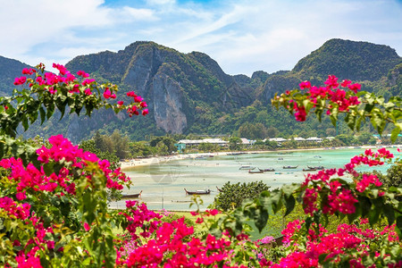 夏日在泰国的菲岛全景图片