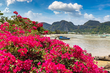 泰国菲登岛的美景图片