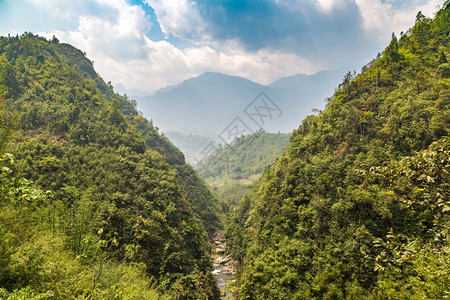 夏季日萨帕laocivetnam的梯田图片