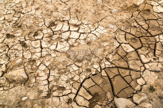 旱地和夏季日破碎的地面背景图片