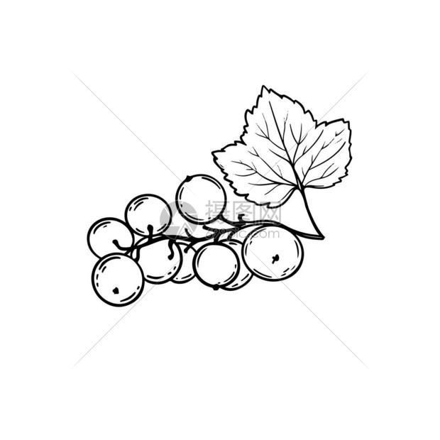 手画莓果汁的矢量插图