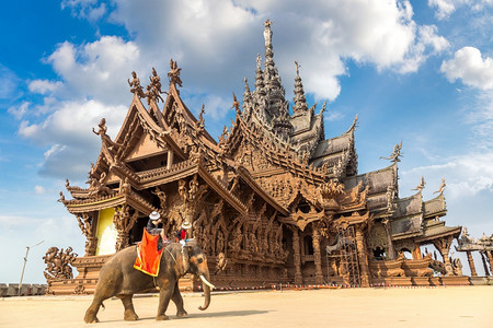 骑大象旅游者乘大象绕着真相的圣殿在夏季日间泰国的帕达亚Paty背景
