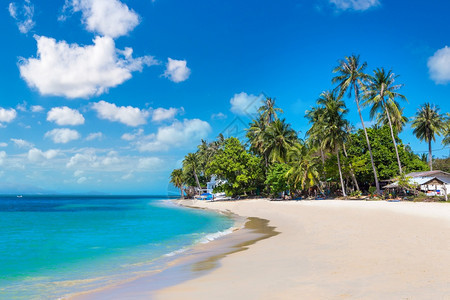 夏日在泰河沿岸的KohSamui岛有棕榈树的热带海滩图片