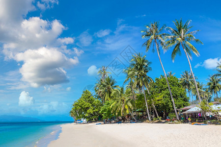 夏日在泰河沿岸的KohSamui岛有棕榈树的热带海滩图片