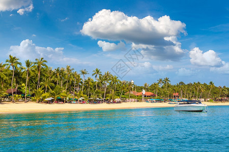 夏日在泰河沿岸的KohSamui岛有棕榈树的热带海滩图片