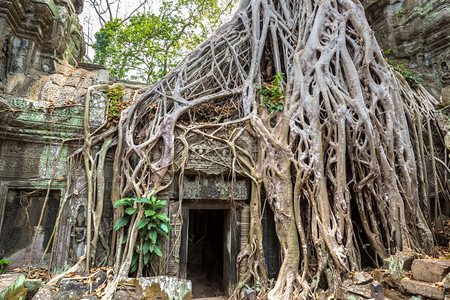 塔普罗姆寺庙的废墟是夏日Cambodi的夏日Semsar的复杂Agkorwat古寺图片