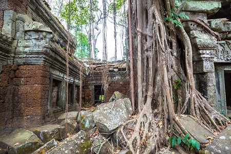 塔普罗姆寺庙的废墟是夏日Cambodi的夏日Semsar的复杂Agkorwat古寺图片
