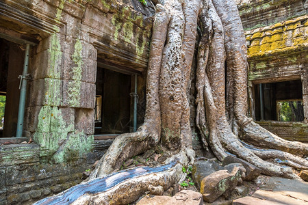 塔普罗姆寺庙的废墟是夏日Cambodi的夏日Semsar的复杂Agkorwat古寺图片