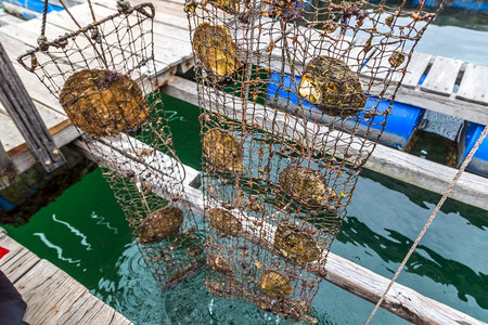 刺激性图片_刺激性素材_刺激性高清图片_摄图网图片下载