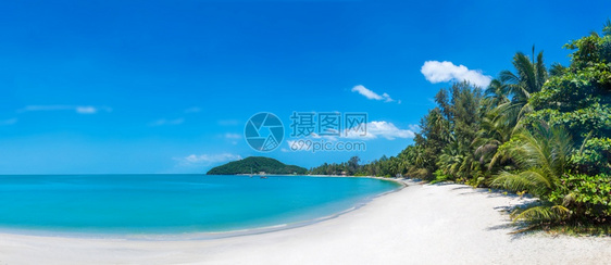 夏日在泰河沿岸的KohSamui岛有棕榈树的热带海滩图片