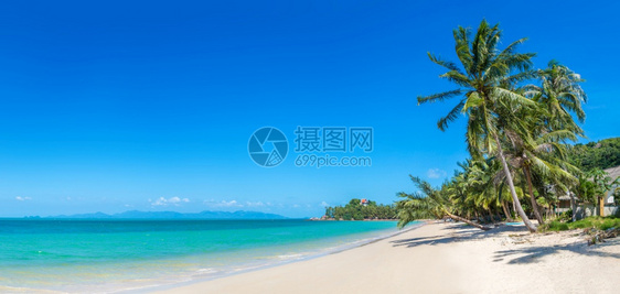 夏日在泰河沿岸的KohSamui岛有棕榈树的热带海滩图片