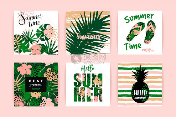 一套夏季热带设计用于卡片海报图片