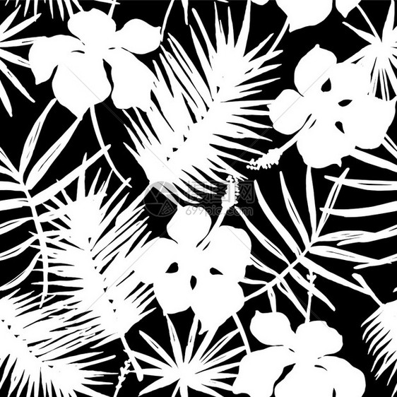黑白抽象热带植物艺术背景设计图片