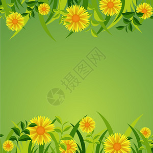 春天盛开鲜花绿色背景图片