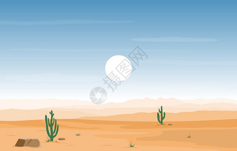 沙漠里的仙人掌景观图图片