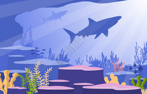 鲨鱼海草珊瑚礁海底风光背景图片