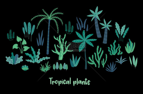 热带植物矢量设计元素图片