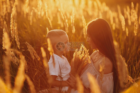 快乐的妈和儿子在田里日落快乐的童年一位轻女拥抱她的儿子图片