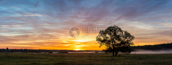 美丽的日出在绿色田野和夏天清晨的一棵树上图片