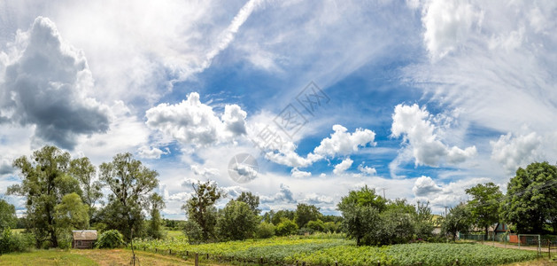 在美丽的夏日中白云蓝天空图片