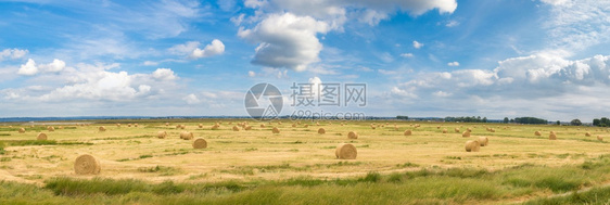 在一个美丽的夏日中干草田图片