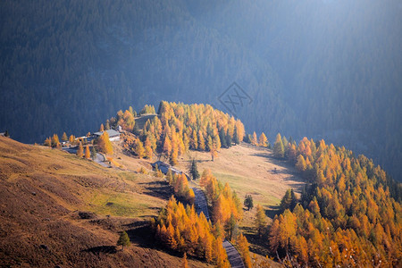 美丽的山地景观高山公路brenkogl高陶伦公园图片