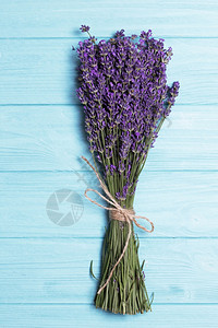 蓝色背景的紫花束证明图片