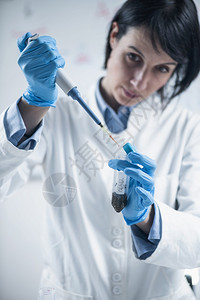 食品质量检查员配有微气管的食品质量检查员将试剂添加到带有植物样本的试管中图片