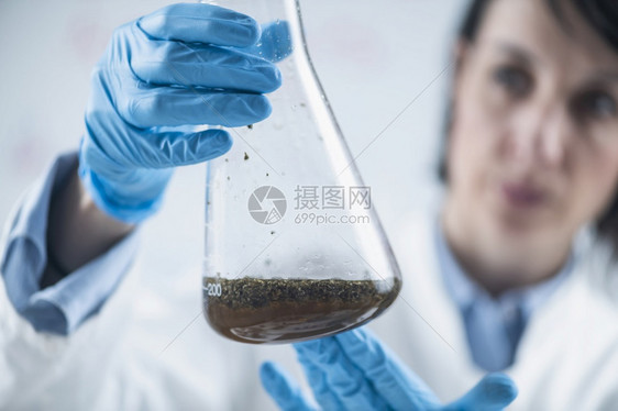 检查实验室玻璃瓶和溶于水中的植物样本图片