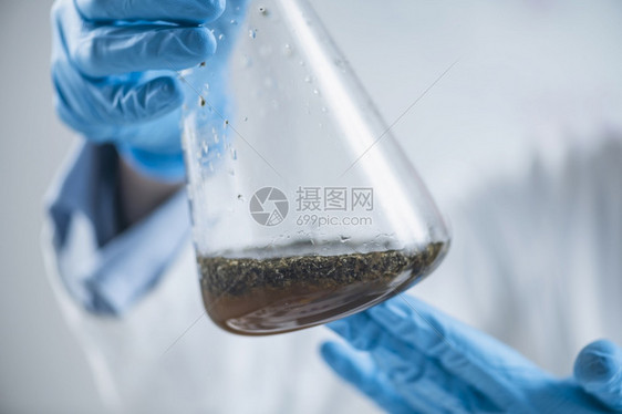 含有在水中溶解的植物样品实验室玻璃瓶用于有机认证分析关闭图片