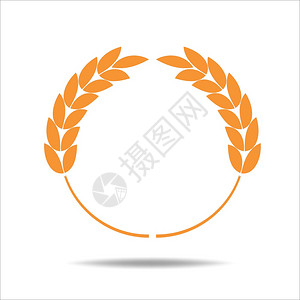 高粱大麦小麦糯米玉米插画