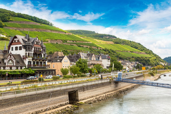 浪漫的莱茵河谷是一个酿酒区在美丽的夏日德国图片