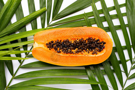 热带棕榈叶上的甜成熟木瓜图片