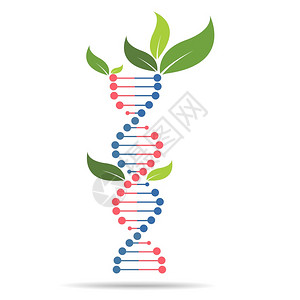 绿色思维技术创新养护概念图片