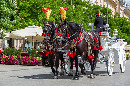 在一个美丽的夏日在Krakow主广场的马车图片