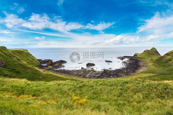 大型在一个美丽的夏日北部平原极图片