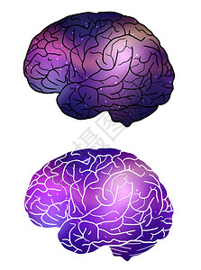 紫色大脑矢量设计元素图片