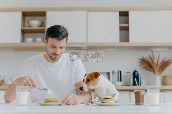 男人吃煎饼时在旁边的狗也想吃图片