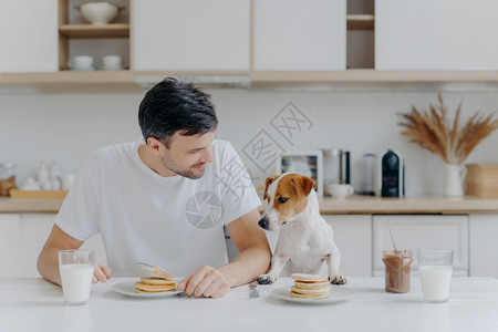 宠物狗把爪子放在白桌上想要吃煎饼图片