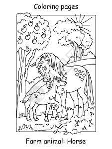 一对小马漫画轮廓插图用于学龄前教育儿童图片