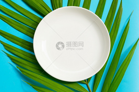 热带棕榈树叶上的空白陶瓷板蓝色背景图片