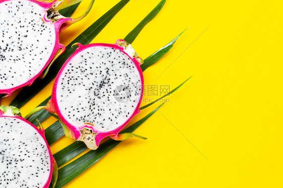 热带棕榈树叶上的成熟龙果或白图片