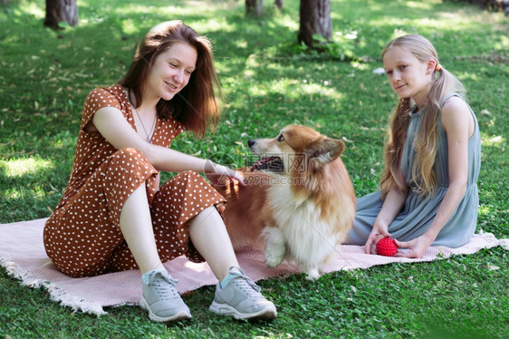 家养狗与女孩们在绿草坪上图片