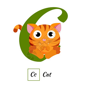 成都动物园可爱的英语动物字母c矢量图像插画