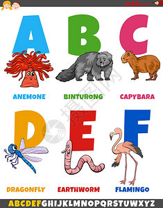 以漫画动物字符从母A到F的字母表图片