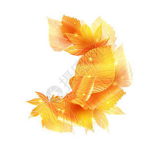 散开的金色树叶矢量元素图片